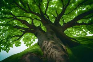 uma árvore é visto a partir de acima com verde folhas. gerado por IA foto