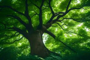 uma árvore dentro a floresta com verde folhas. gerado por IA foto