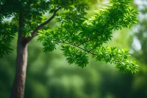 uma árvore com verde folhas dentro a fundo. gerado por IA foto