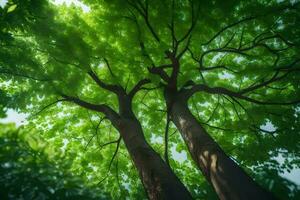 a verde árvores dentro a floresta. gerado por IA foto