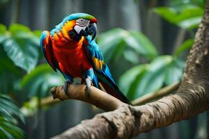 uma colorida papagaio senta em uma ramo dentro a jardim zoológico. gerado por IA foto