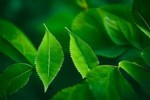 verde folhas em uma árvore. gerado por IA foto