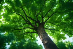 uma árvore é visto a partir de acima dentro uma verde floresta. gerado por IA foto