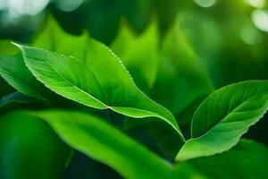 verde folhas em uma árvore. gerado por IA foto