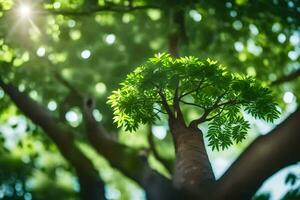 uma árvore com verde folhas e luz solar brilhando através. gerado por IA foto