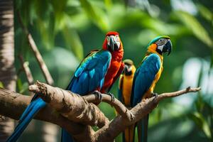 três colorida papagaios sentado em uma ramo. gerado por IA foto