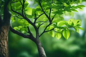 uma árvore com verde folhas dentro frente do uma verde fundo. gerado por IA foto