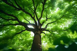 uma árvore é visto a partir de abaixo com verde folhas. gerado por IA foto