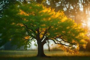 uma árvore dentro a Sol com a Sol brilhando através isto. gerado por IA foto