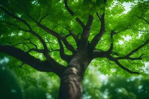 uma árvore é mostrando dentro a primeiro plano com verde folhas. gerado por IA foto