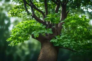 uma árvore com verde folhas e uma embaçado fundo. gerado por IA foto