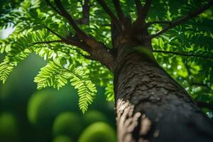 uma árvore com verde folhas dentro a luz solar. gerado por IA foto