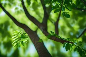 uma árvore ramo com folhas e luz solar. gerado por IA foto