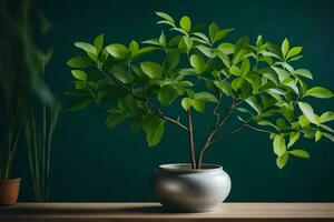 uma em vaso plantar em uma mesa dentro frente do uma verde muro. gerado por IA foto