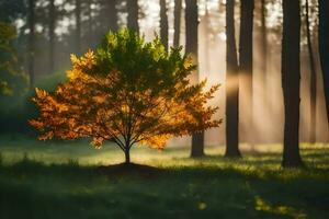 uma solteiro árvore dentro a meio do uma floresta com luz solar brilhando através a árvores gerado por IA foto