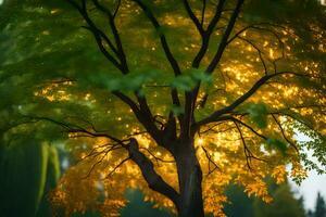 uma árvore com amarelo folhas dentro a Sol. gerado por IA foto