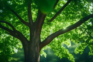 uma árvore com verde folhas e luz solar brilhando através. gerado por IA foto