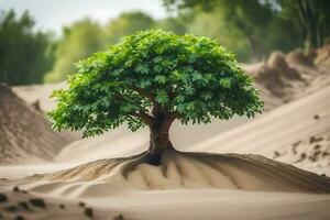 uma árvore crescendo Fora do a areia dentro a deserto. gerado por IA foto