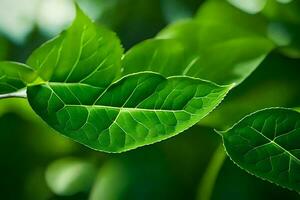 uma fechar acima do verde folhas em uma árvore. gerado por IA foto