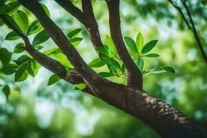 uma árvore ramo com verde folhas. gerado por IA foto