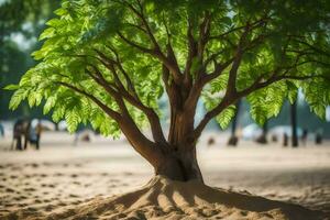 uma árvore com folhas crescendo Fora do a areia. gerado por IA foto