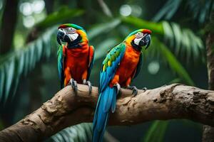 dois colorida papagaios sentado em uma ramo dentro a selva. gerado por IA foto