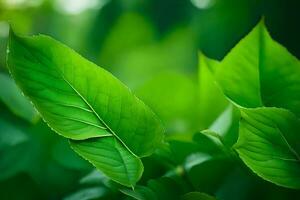 uma fechar acima do verde folhas em uma plantar. gerado por IA foto