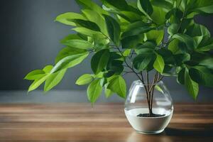 uma em vaso plantar dentro uma vaso em uma mesa. gerado por IA foto