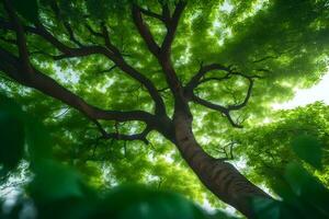 uma árvore é visto a partir de abaixo com verde folhas. gerado por IA foto