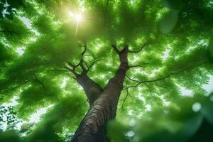 uma árvore dentro a floresta. gerado por IA foto