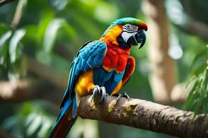 uma colorida papagaio senta em uma ramo. gerado por IA foto