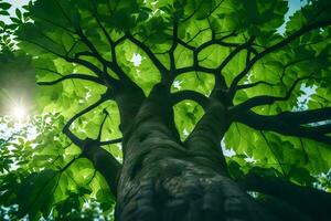 uma árvore com verde folhas e luz solar. gerado por IA foto