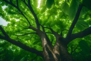 uma árvore com verde folhas e luz solar brilhando através. gerado por IA foto