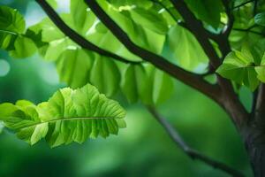 verde folhas em uma árvore. gerado por IA foto