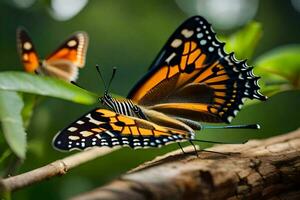 borboleta, borboleta, borboleta, borboleta, borboleta, borboleta, borboleta, borboleta, borboleta. gerado por IA foto