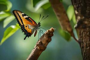 borboleta em árvore ramo. gerado por IA foto