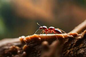 uma vermelho formiga em uma árvore ramo. gerado por IA foto