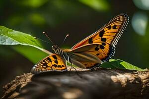 uma borboleta é sentado em uma ramo com folhas. gerado por IA foto