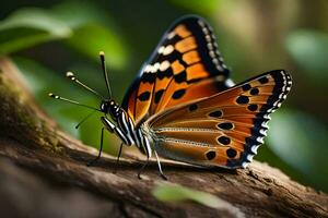 borboleta, laranja, marrom, borboleta, em uma árvore, em uma filial, sobre. gerado por IA foto