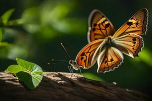 borboletas, o, borboleta, o, borboleta, o, borboleta, o, borboleta. gerado por IA foto