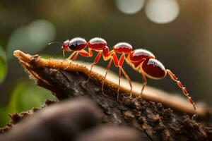 uma vermelho formiga em uma ramo. gerado por IA foto