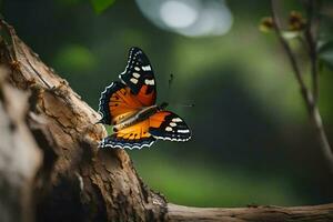 uma borboleta é empoleirado em uma árvore ramo. gerado por IA foto