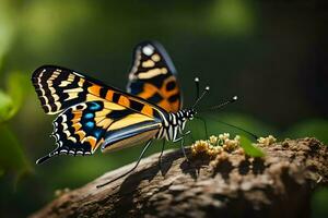 borboleta, natureza, verde, natureza, borboleta, natureza, borboleta, natureza, natureza. gerado por IA foto