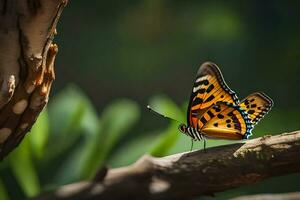 borboleta, natureza, a ao ar livre, a ao ar livre, natureza, a ao ar livre, natureza,. gerado por IA foto