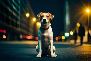 uma cachorro sentado em a rua às noite. gerado por IA foto