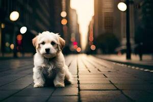 uma pequeno branco cachorro sentado em a rua dentro a cidade. gerado por IA foto