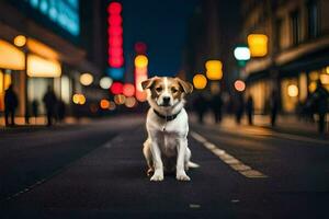 uma cachorro sentado em a rua às noite. gerado por IA foto