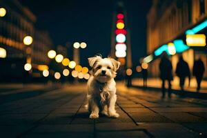 uma pequeno cachorro sentado em a calçada às noite. gerado por IA foto