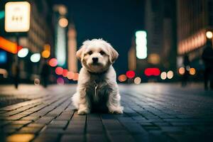 uma pequeno branco cachorro sentado em a rua às noite. gerado por IA foto