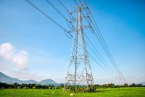 linha de transmissão elétrica aérea cruzando o campo de arroz foto